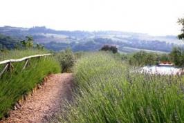 freistehendes Ferienhaus mit Pool in der Toskana