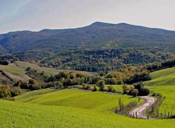 autorundreise