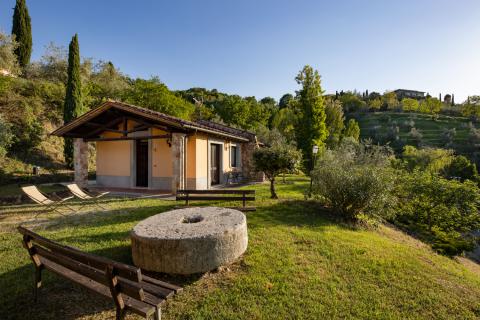 Ferienwohnung Agriturismo Poggio Olivi, Tritt