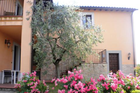 Ferienwohnung Agriturismo Poggio Olivi, Tritt