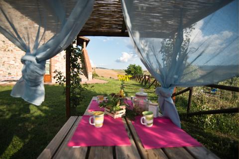 Agriturismo mit Pool, 6 Ferienwohnungen bei Volterra, Tritt-Toskana