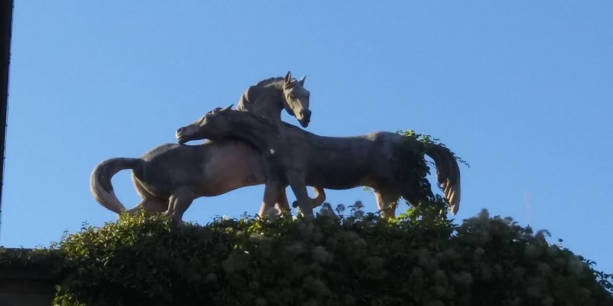 Pisa, Museo delle Navi Antiche, Toskana