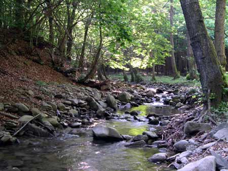 Limentra Fluß bei Prato, Pistoia, Toskana