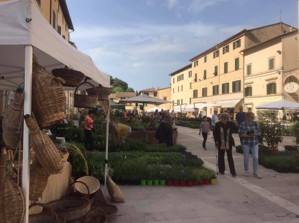 Cetona in fiore, Siena, Toskana