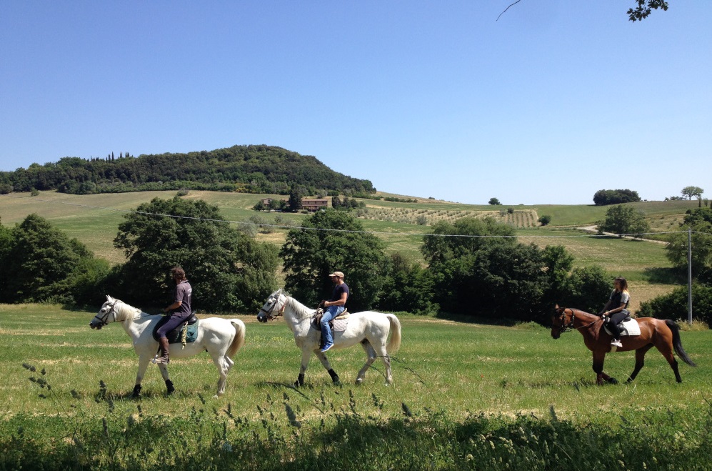 Agriturismo Pomarance