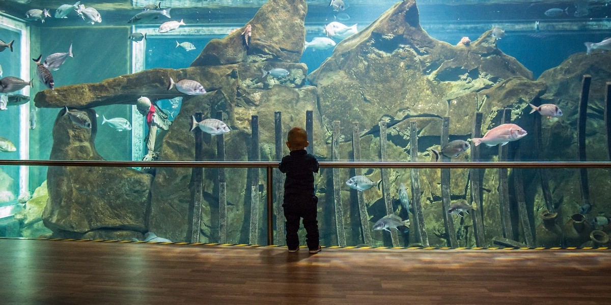 Livorno Acquarium Diacinto Cestoni Toskana Urlaub