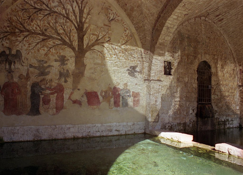 Massa Marittima, Brunnen und Palast der Fruchtbarkeit, Toskana, Grosseto