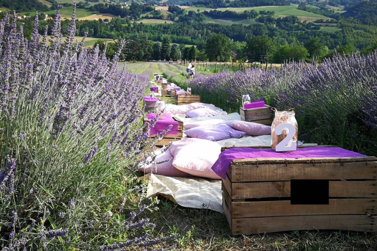 Picnik in den Lavendelfeldern, Italien, Tritt Case in Italia