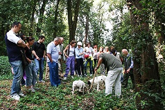 Trüffelsuche in San Miniato, Toskana Urlaub