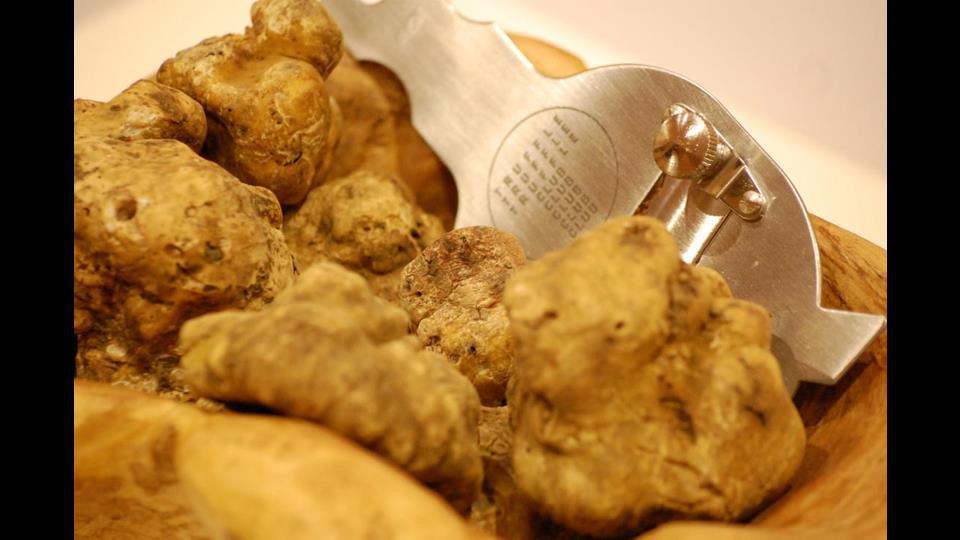 TrÃ¼ffel aus San Miniato - Toskana