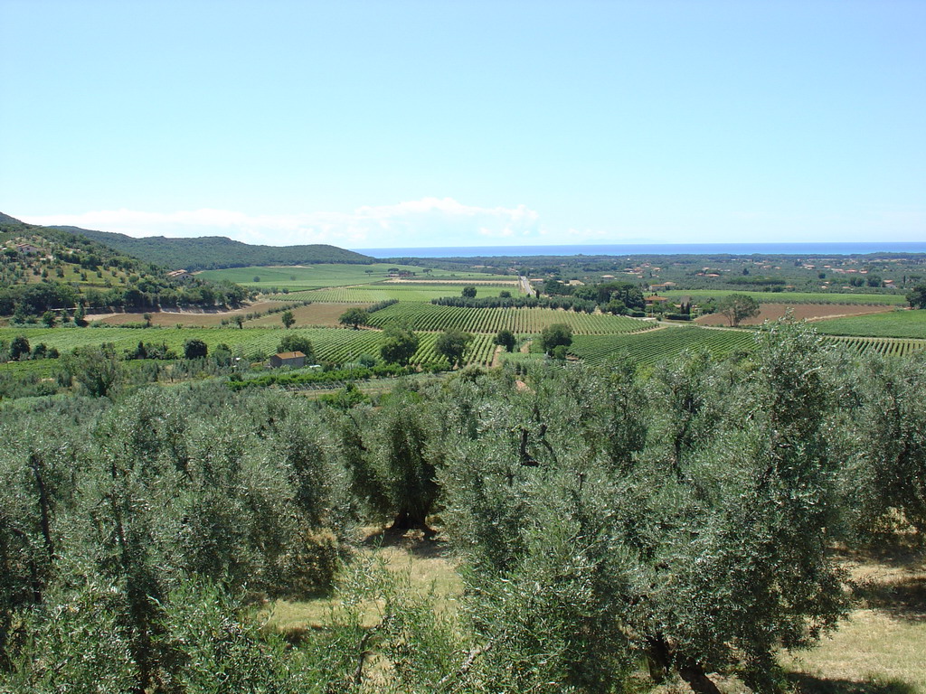 Panorama vom Aussichtspunkt in Castagneto Carducci, Toskana