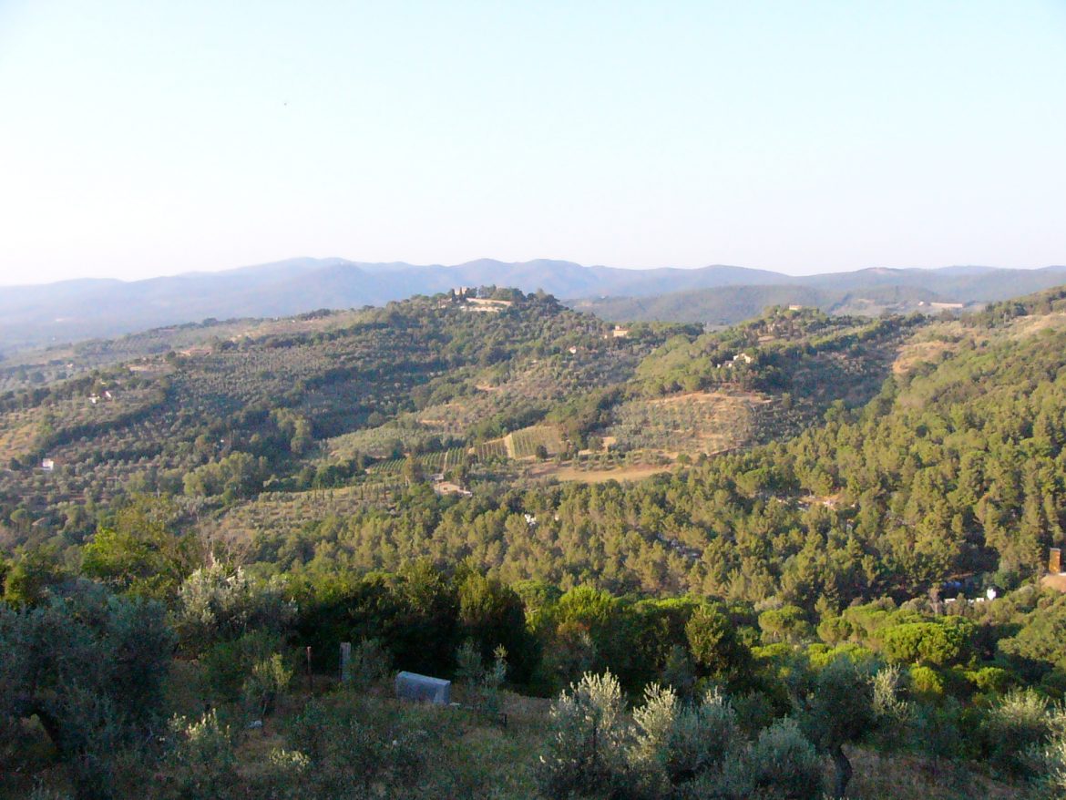 Castagneto Carducci, Livorno, Toskana, Urlaub, Tritt