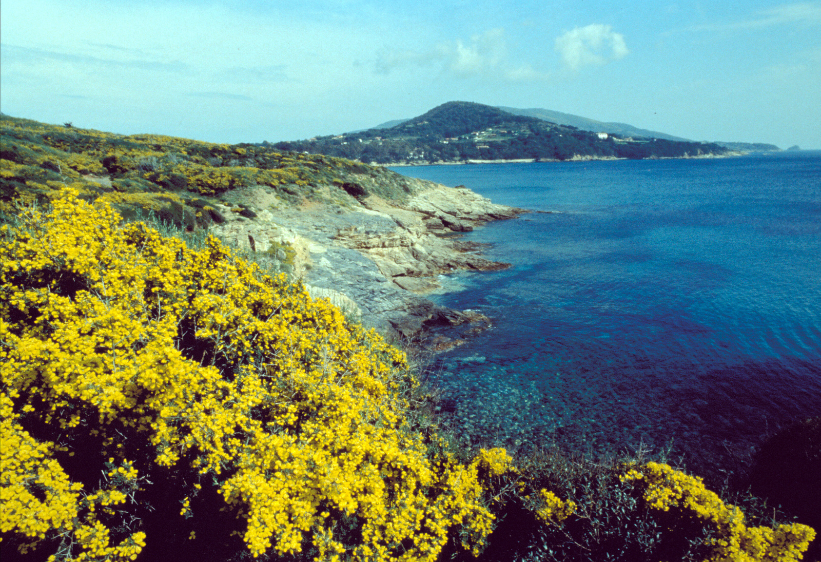 Elba Küste Toskanischer Archipel