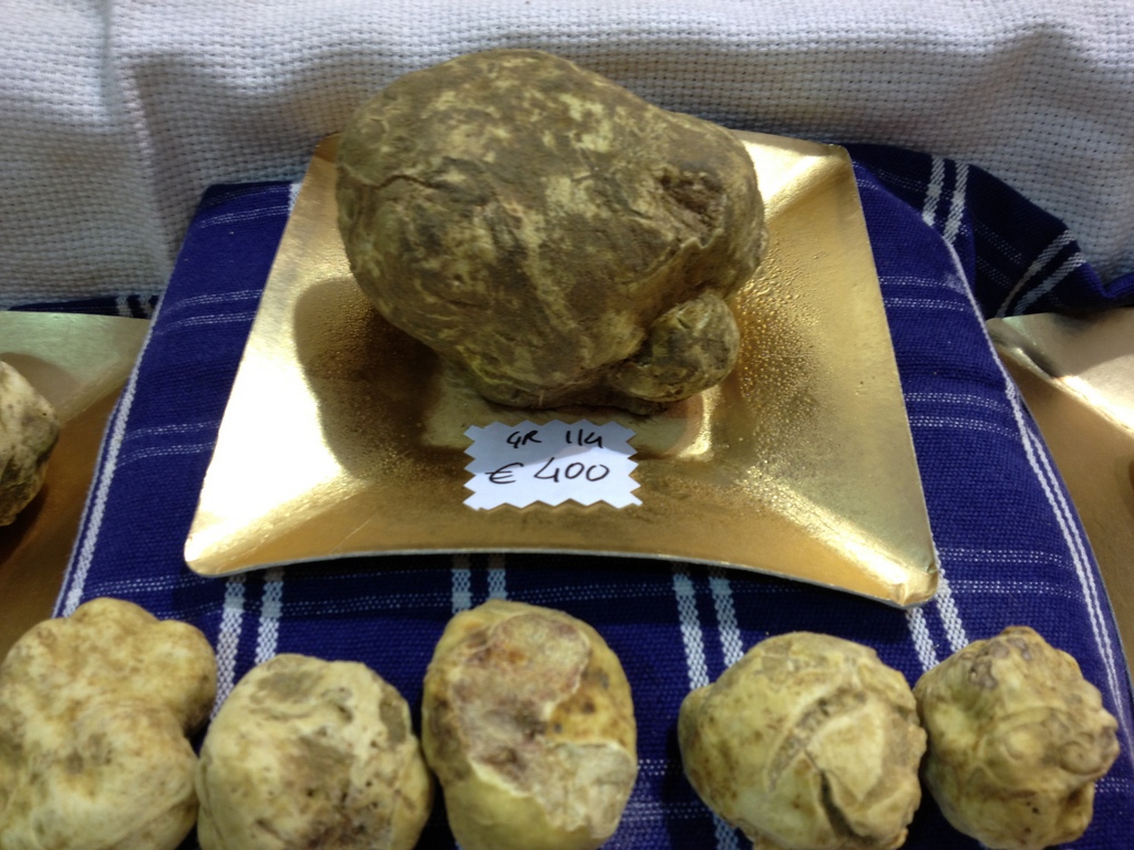 TrÃ¼ffel aus San Miniato - Pisa - Toskana