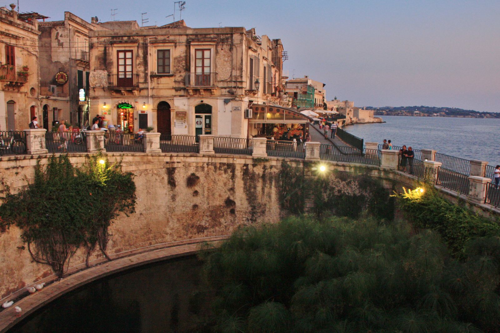 Ortigia Fonte Aretusa, Siracusa, Sicilia, Italia