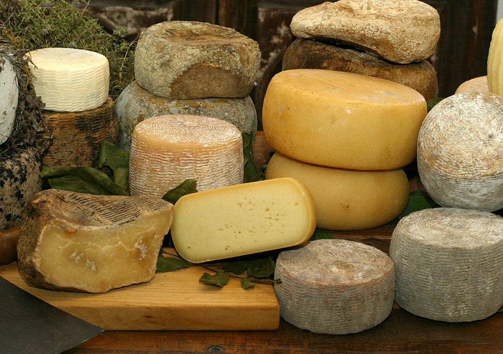 Pecorino der leckere toskanische Schafskäse Gastronomie