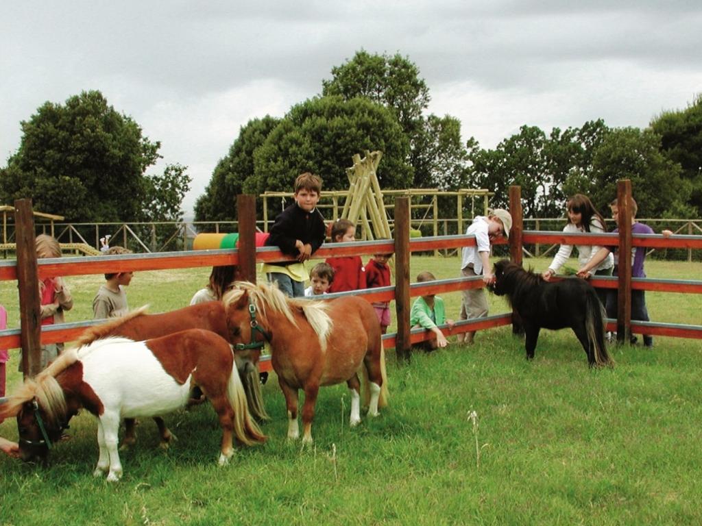 Reitstall im Castellare del Paradiso Montaione Florenz Toskana