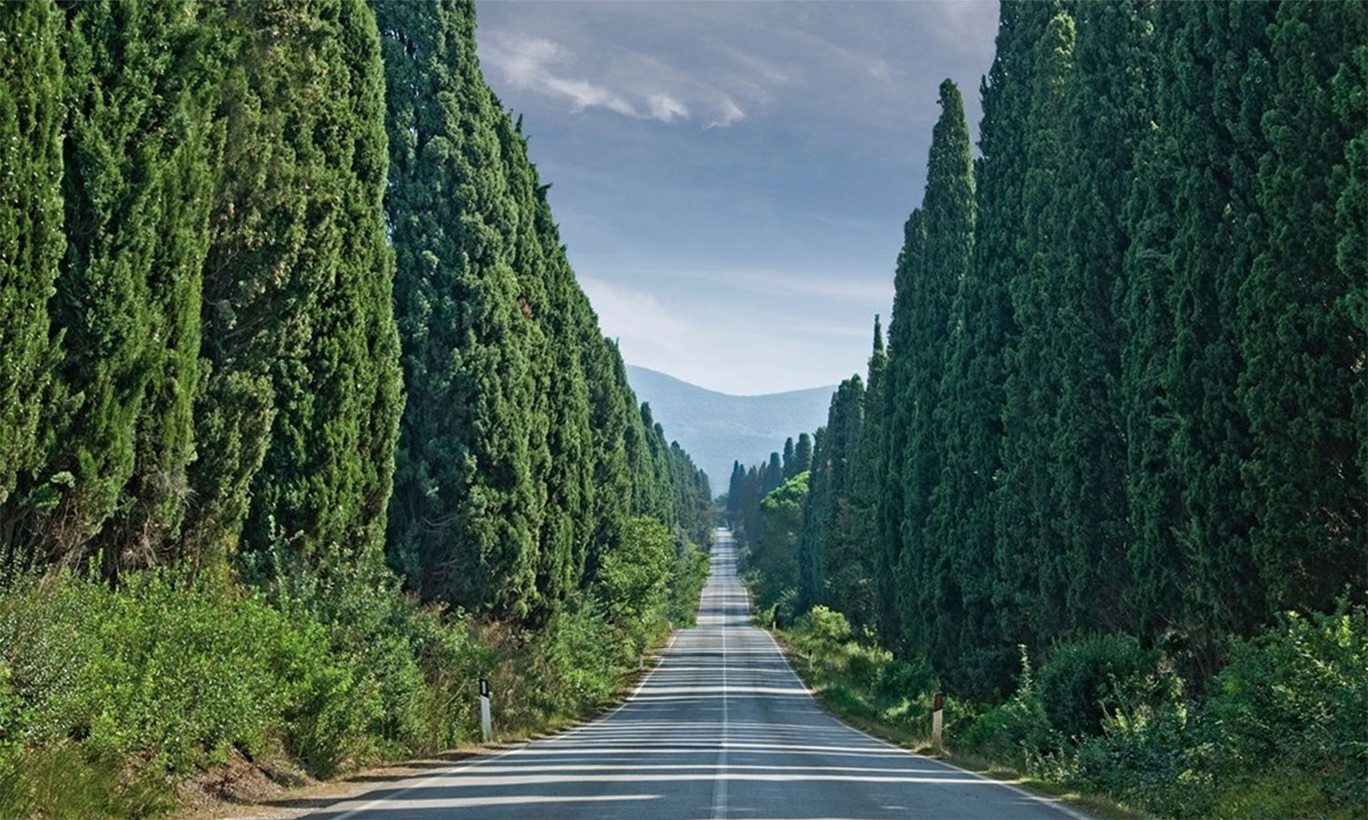 Toskana Urlaub, Zypressenallee nach Bolgheri, Livorno