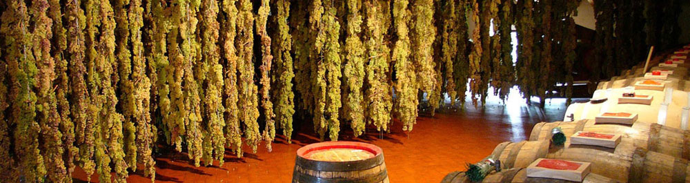 Vinsantaia im Chianti Toskana