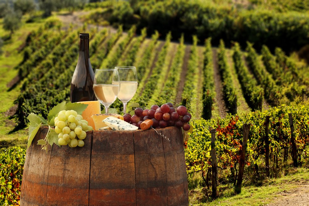 Wein und Gastronomie in der Toskana
